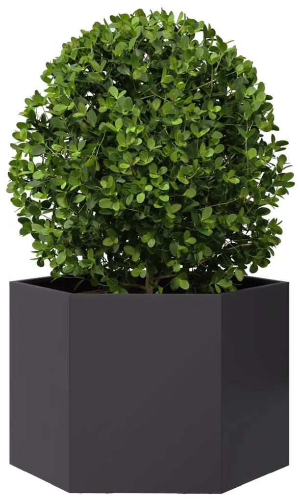 Vaso/floreira de jardim hexagonal 69x60x45 cm aço preto