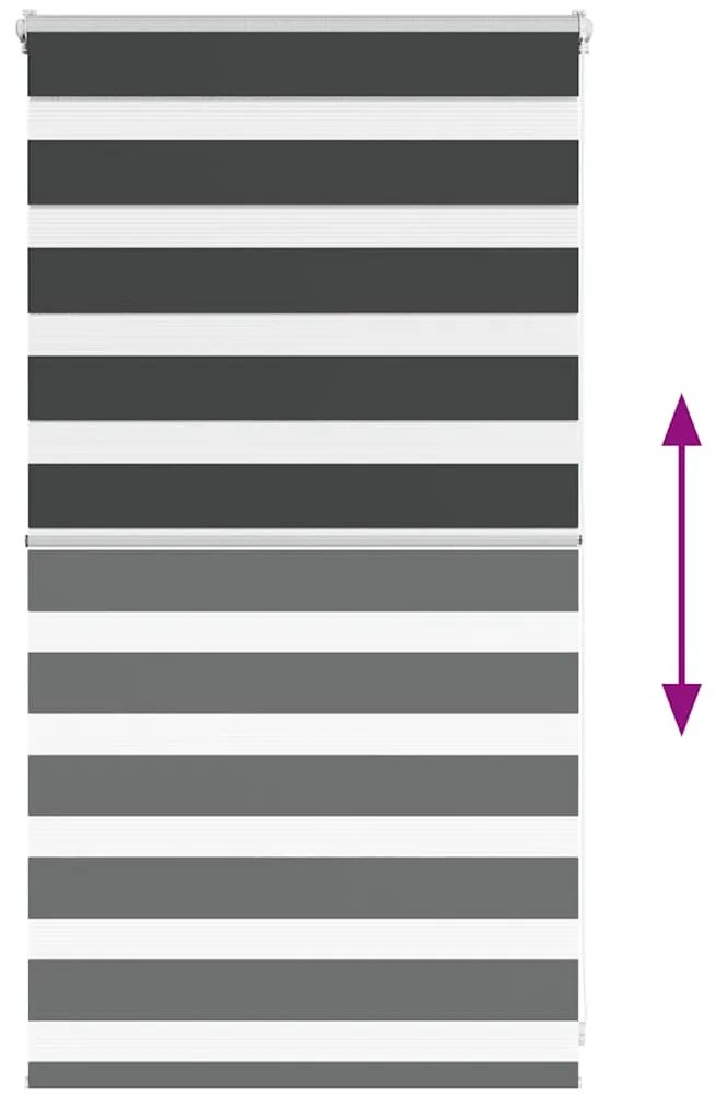Cortina de zebra 70x100 cm largura do tecido 65,9 cm poliéster
