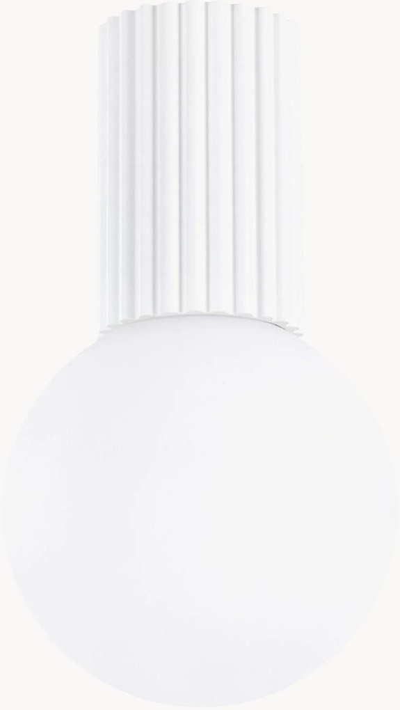 Foco de teto pequeno Orbital