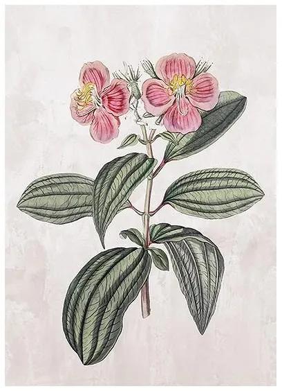 Pintura Flower (105 x 75 x 4 cm)