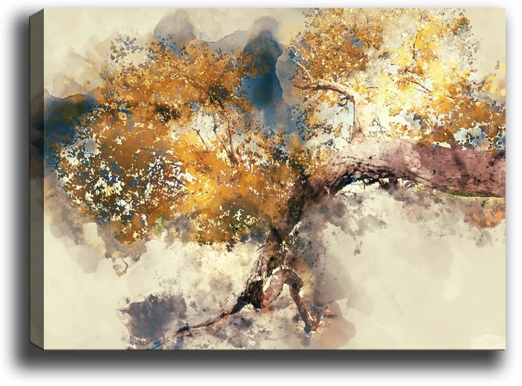 Pintura Decorativa em Tela 488419336 – Multicolor – 70 x 100 cm