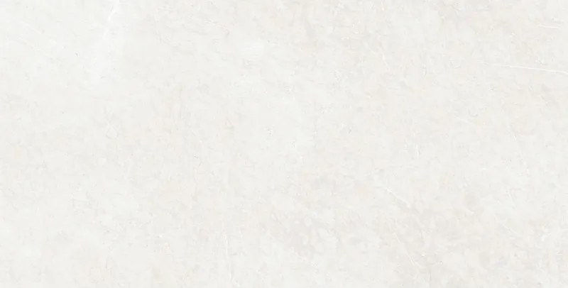 Mexen French Amostra de prata de grés esmaltado rectificado. G1, azulejo de pavimento e parede, brilho - TL173-01-S