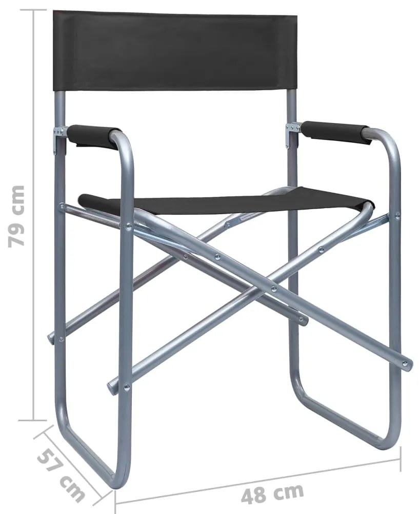 Cadeiras de realizador 2 pcs aço preto