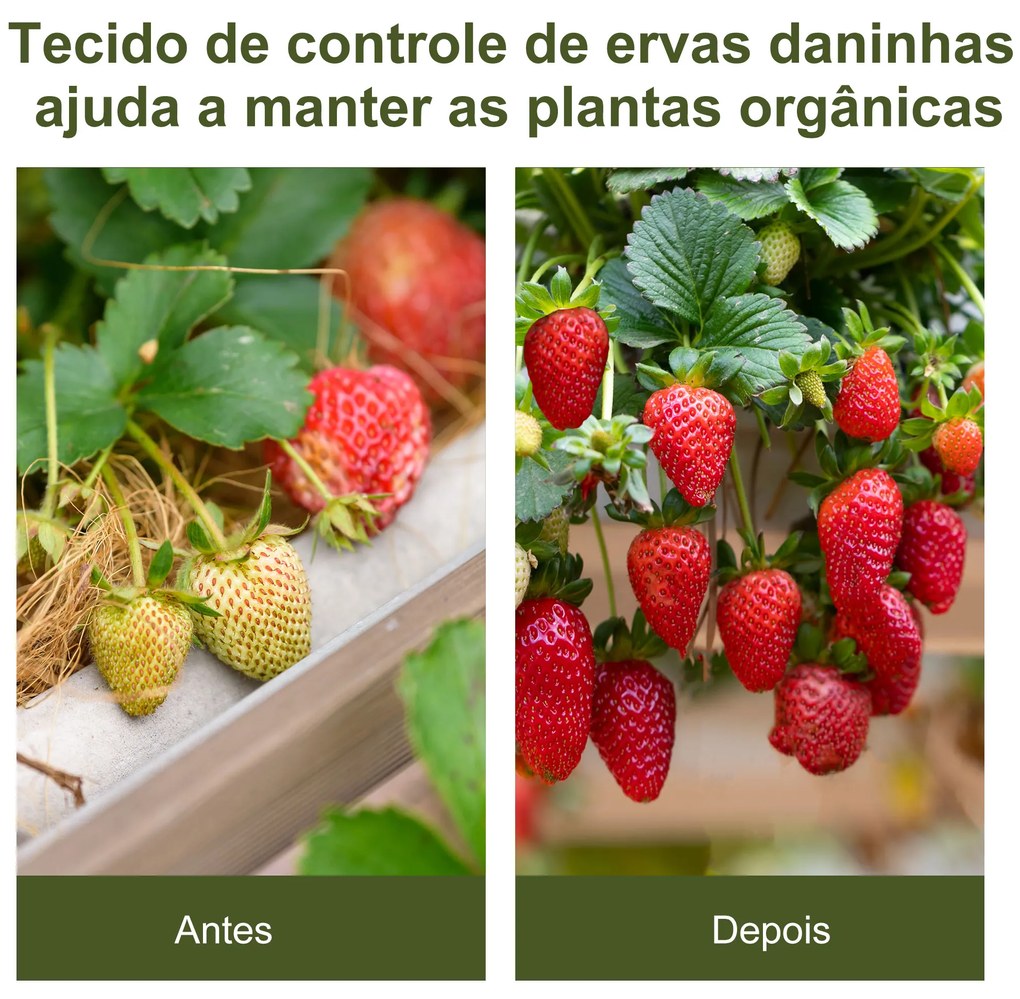 Malha Geotêxtil 2x50 m Malha de jardim contra ervas daninhas 100 g / m² rolo de malha preto