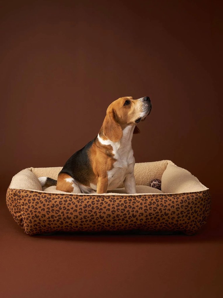 Cesto acolchoado em bombazina Family, para animal de companhia castanho estampado