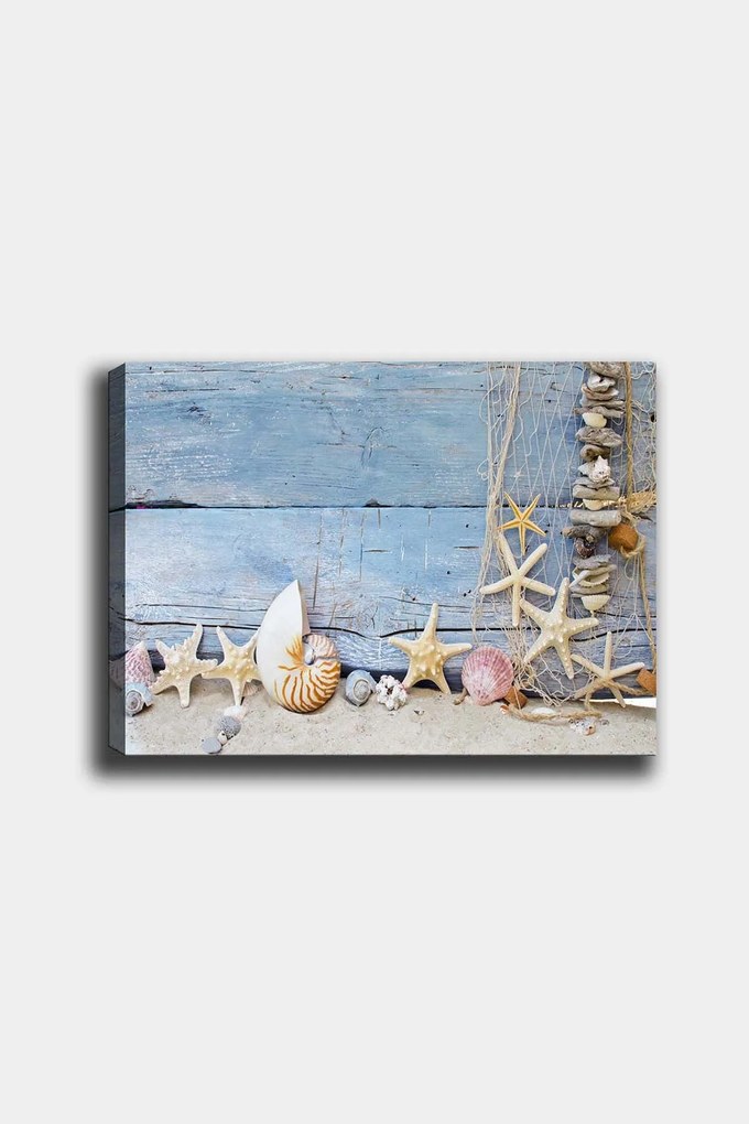 Quadro Decorativo 1495508165 – Multicolor – 50 x 70 cm