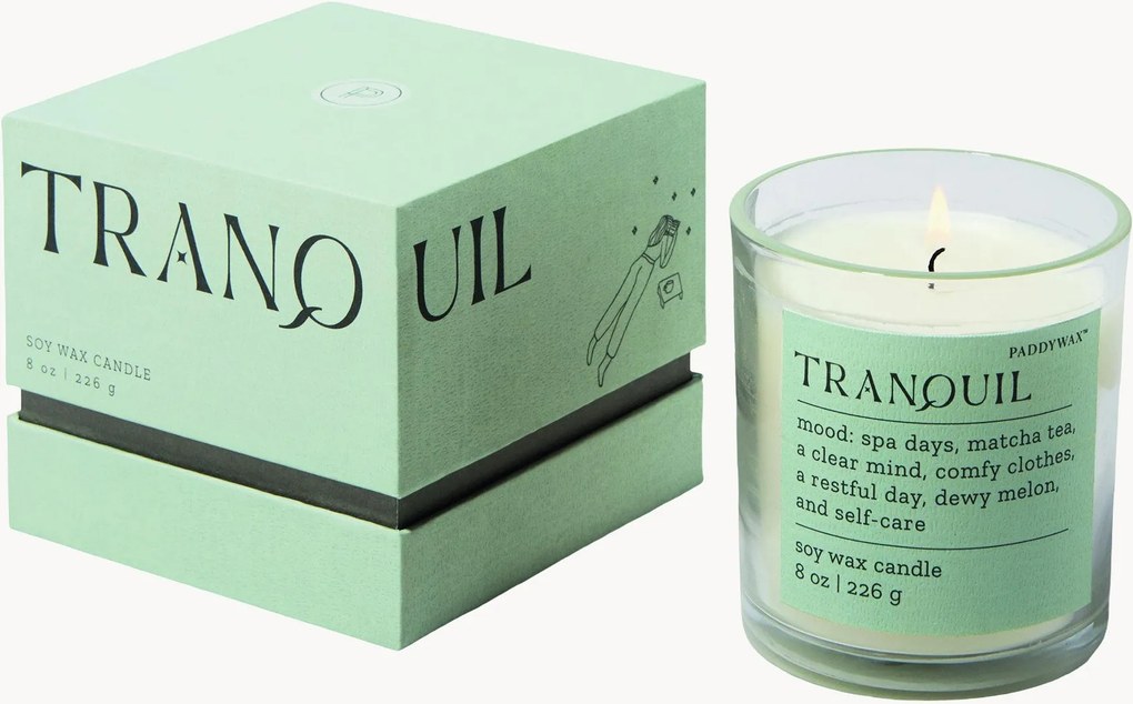 Vela Mood (Tranquil Lush Palms)