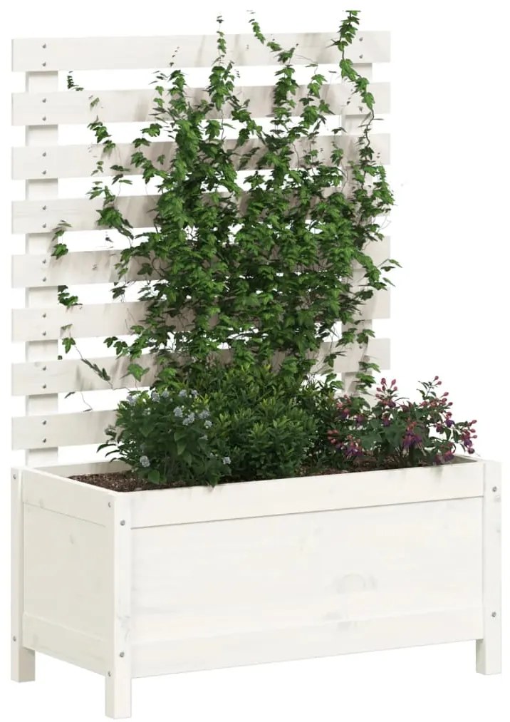 Vaso de jardim c/ suporte 79x39,5x114 cm pinho maciço branco