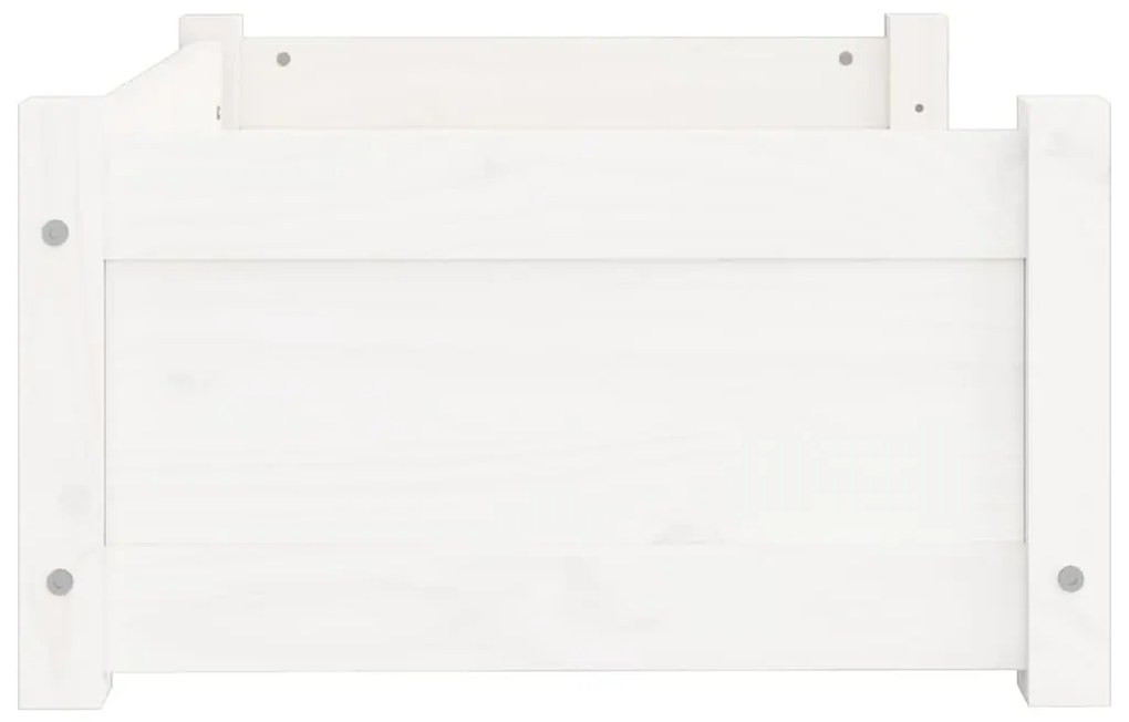 Cama para cães 65,5x50,5x28 cm madeira de pinho maciça branco