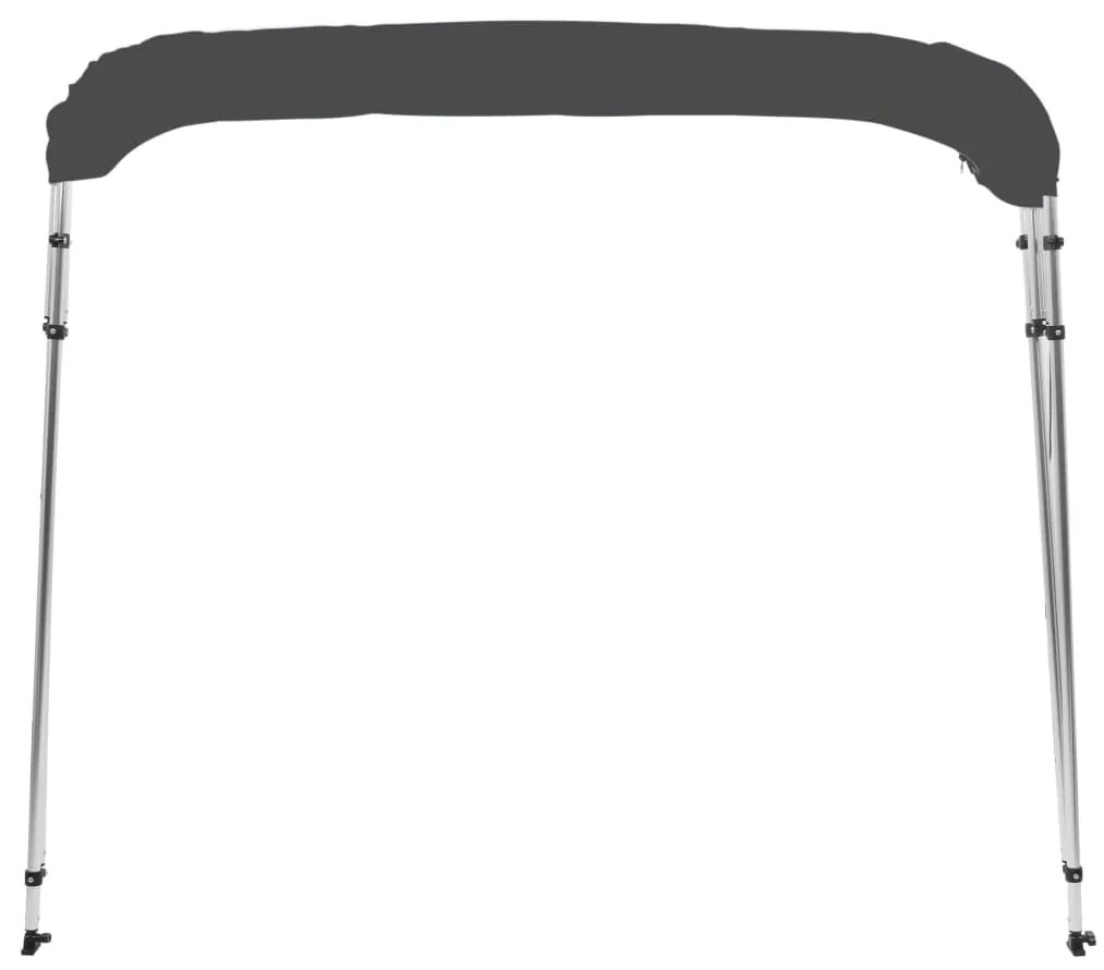 Toldo em 4 arcos Bimini 243x196x137 cm antracite
