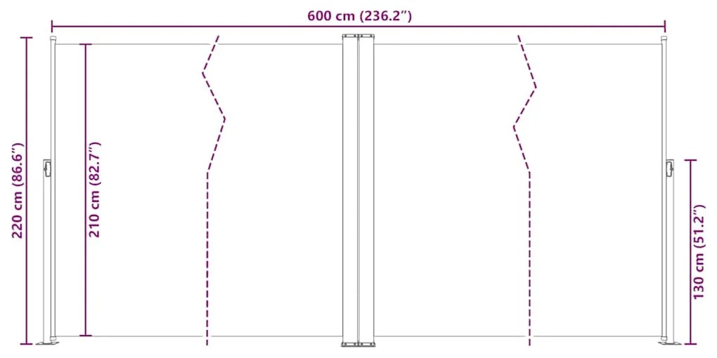 Toldo lateral retrátil 220x600 cm antracite