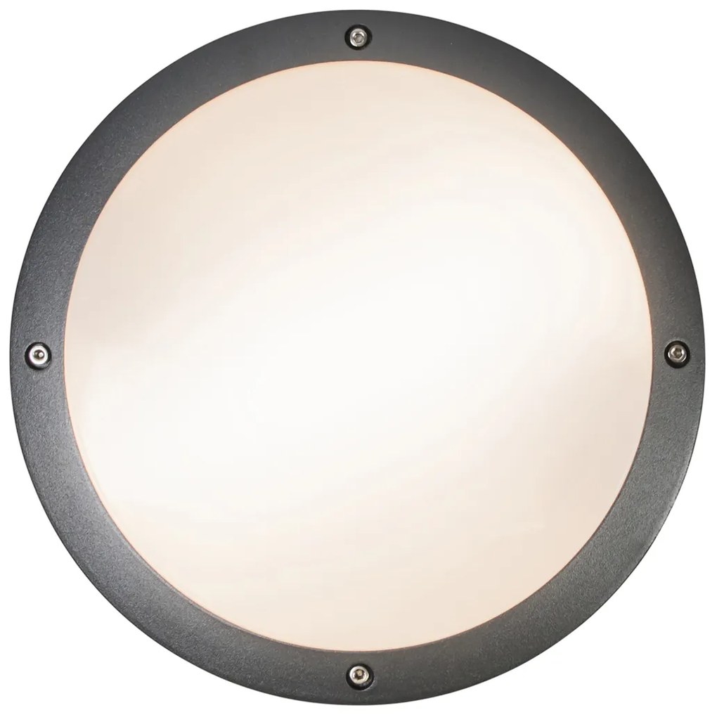 LED Candeeiro de Parede e Teto Inteligente Cinza Escuro com Wi-Fi A60 - Glow Moderno