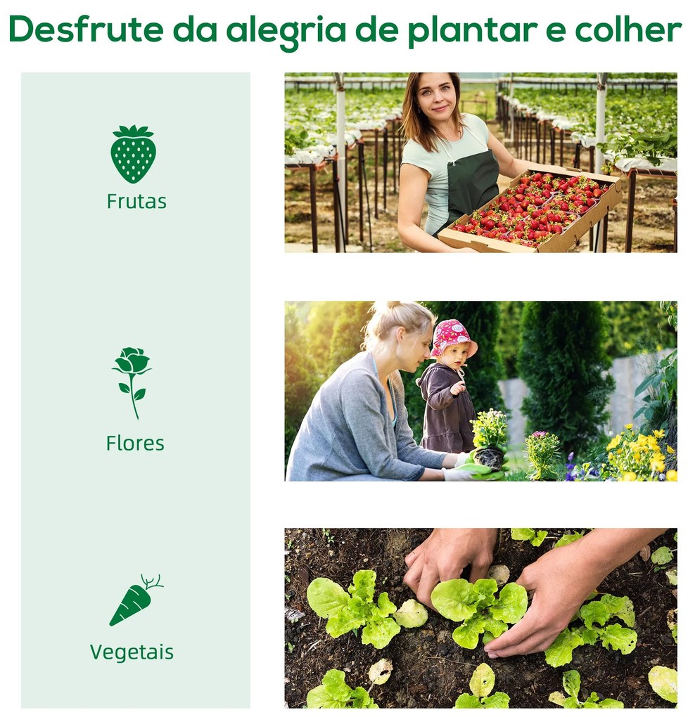 Estufa tipo Túnel 400x200x205 cm Estufa de Jardim com Porta Enrolável