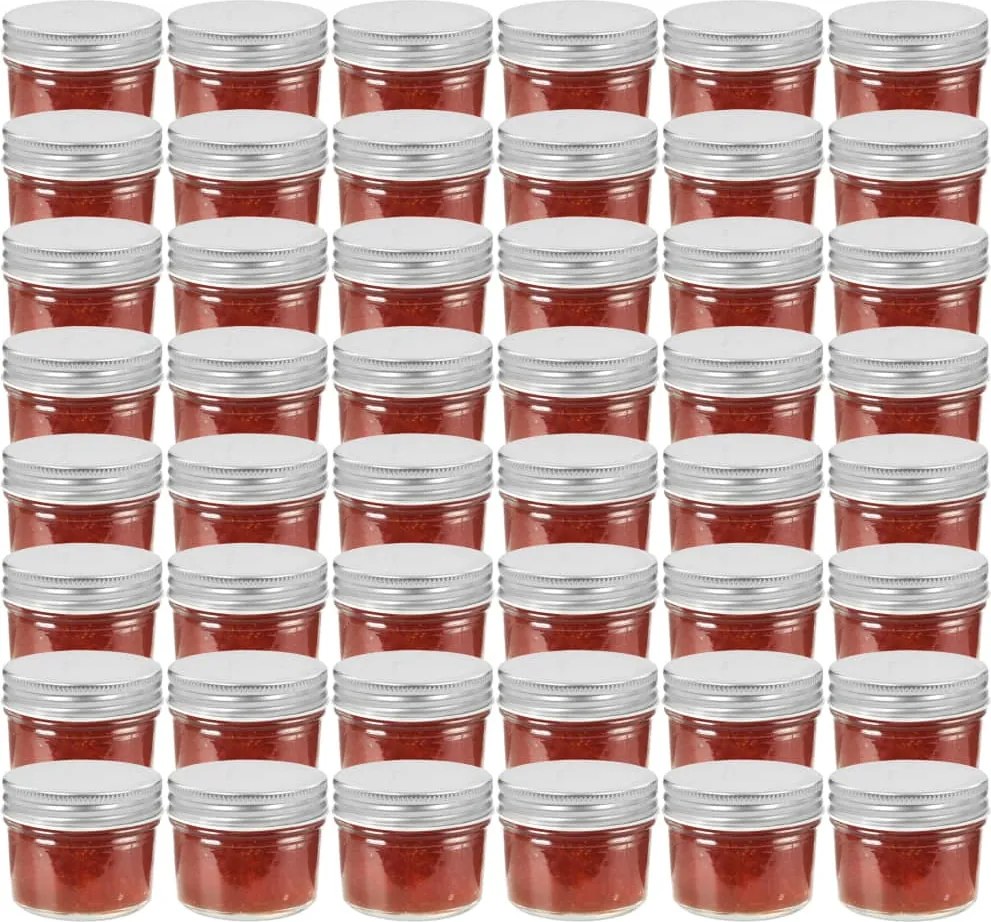 vidaXL Frascos de vidro com tampas prateadas 48 pcs 110 ml