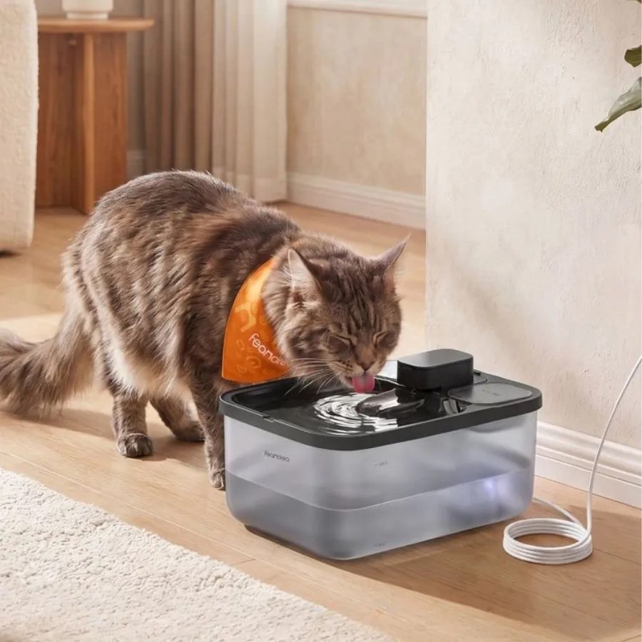 Beberouro para gatos 28,7 x 19,3 x 17,3 cm, 4,5 L, silencioso, com 12 filtros preto