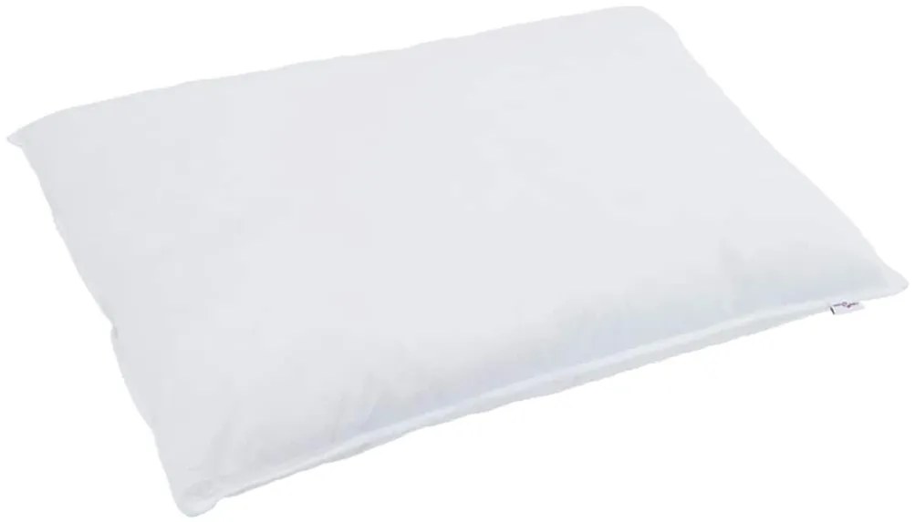 Edredão com travesseiro 2 pcs Branco 155 x 200 cm Penugem