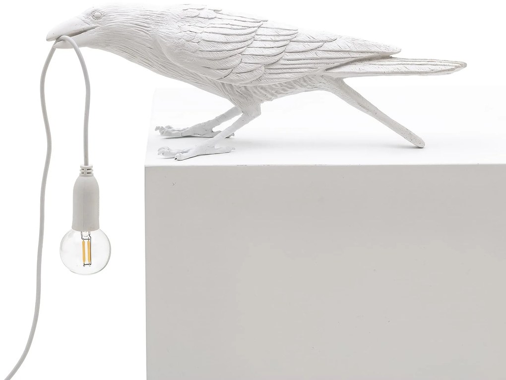 Bird Lamp Playing
