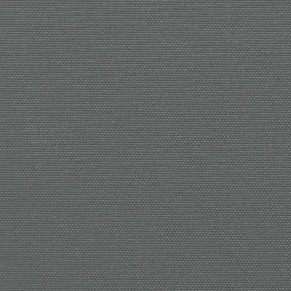 Toldo lateral retrátil 200x600 cm antracite