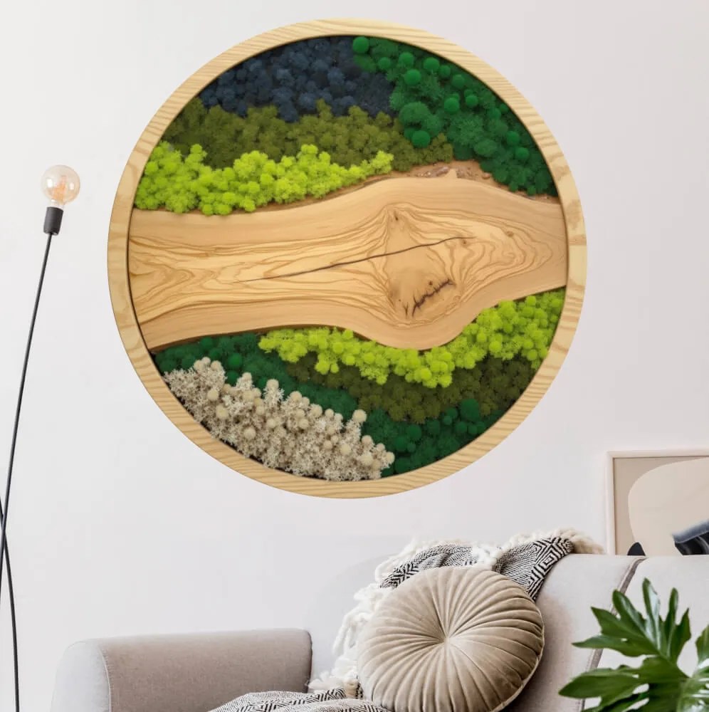 Autocolante de musgo redondo – Nascente com diferentes tipos de musgo