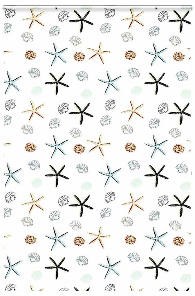 vidaXL Rolo de Duche Estores cassete 160x240 cm Largura Tecido 156 cm