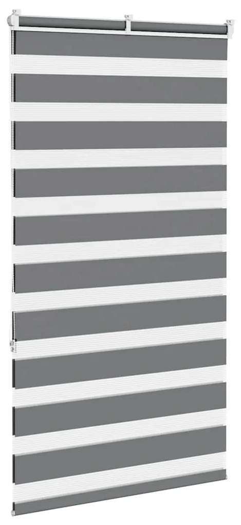 Cortina de zebra 70x150 cm largura do tecido 65,9 cm poliéster