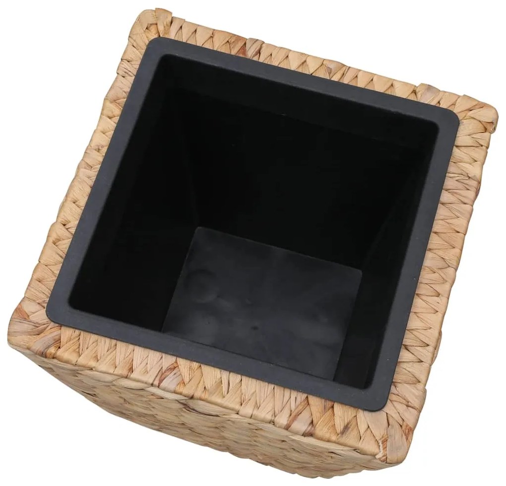 Vasos/floreiras 3 pcs jacinto de água