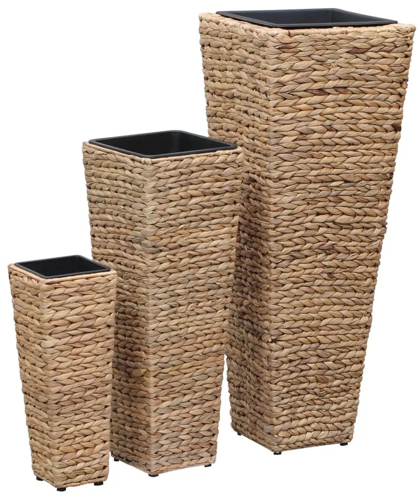 Vasos/floreiras 3 pcs jacinto de água castanho