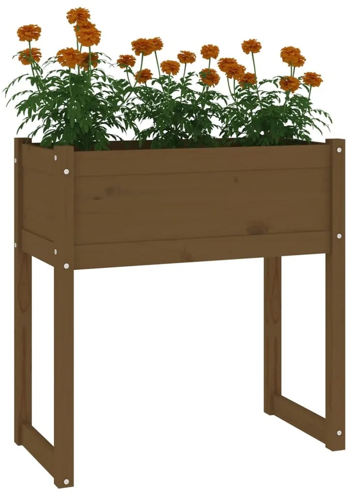 Vaso/floreira 78x40x81 cm pinho maciço castanho-mel
