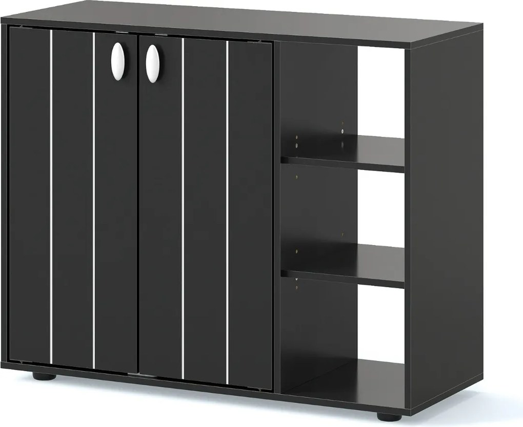 Sapateira com portas 80 x 31 x 64,5 cm sapatos de 3 níveis com prateleiras ajustáveis Preto