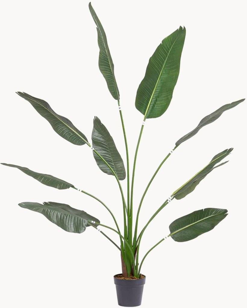 Planta artificial Strelitzia