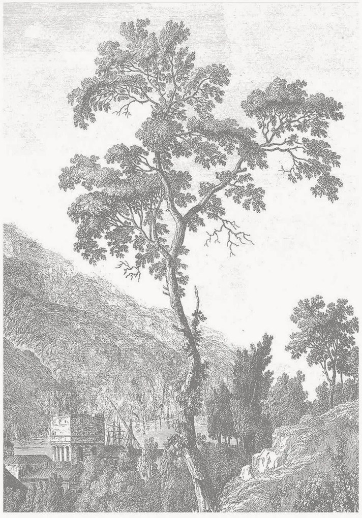 Papel de parede não tecido Engraved Landscapes I