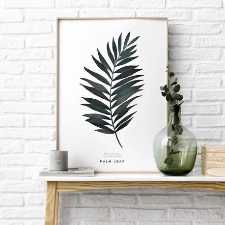 Natura palms poster