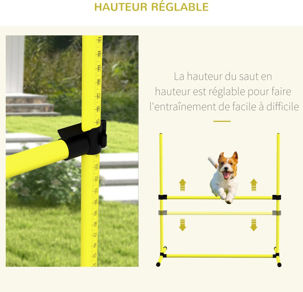 Conjunto de 4 obstáculos profissionais para agility canino, com sistema de fixação ao solo e saco de transporte incluído