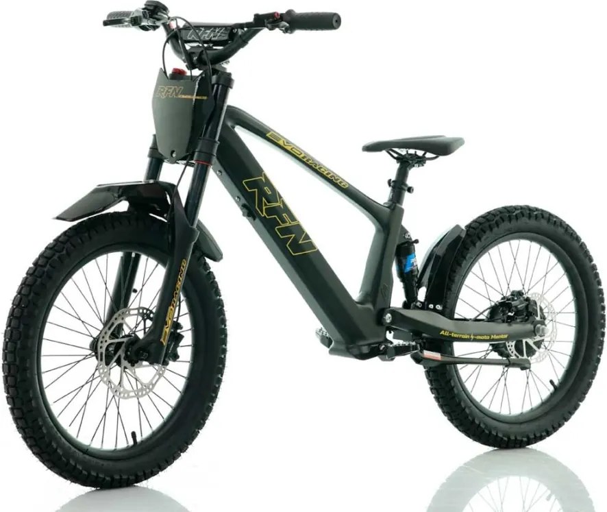 Bicicleta elétrica infantil 750W 20" RXF Evo Racing Preto/Dourado