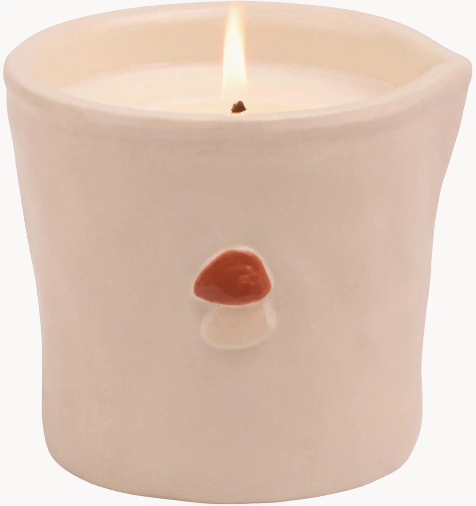 Vela perfumada Paddywax Wild Mushroom
