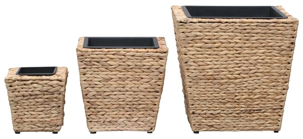 Vasos/floreiras 3 pcs jacinto de água