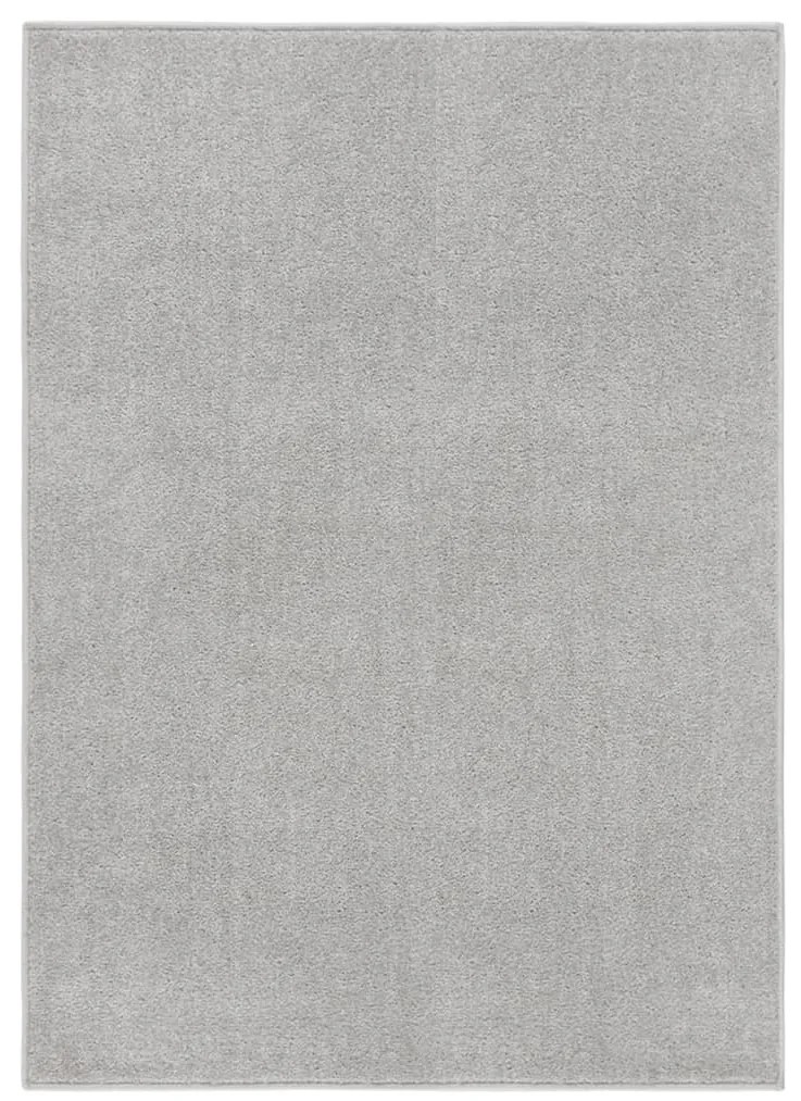 340324 vidaXL Tapete de pelo curto 140x200 cm cinzento-claro