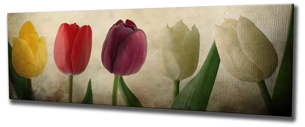 Pintura Decorativa em Tela PC147 – Multicolor – 30 x 80 cm