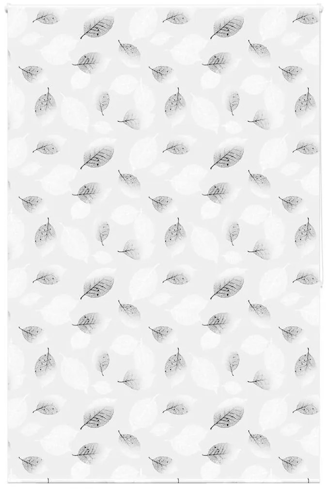 Rolo de Duche Estores 150x240 cm Largura Tecido 146 cm