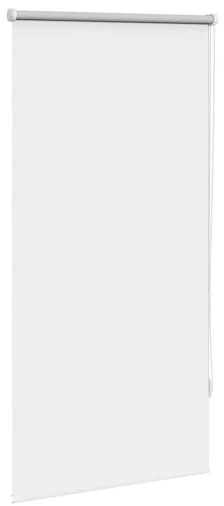 Estore de rolo 60 x 120 cm, Branco