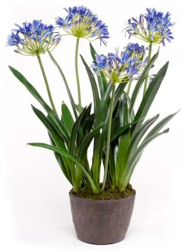 423612 Emerald Agapanto artificial 75 cm azul