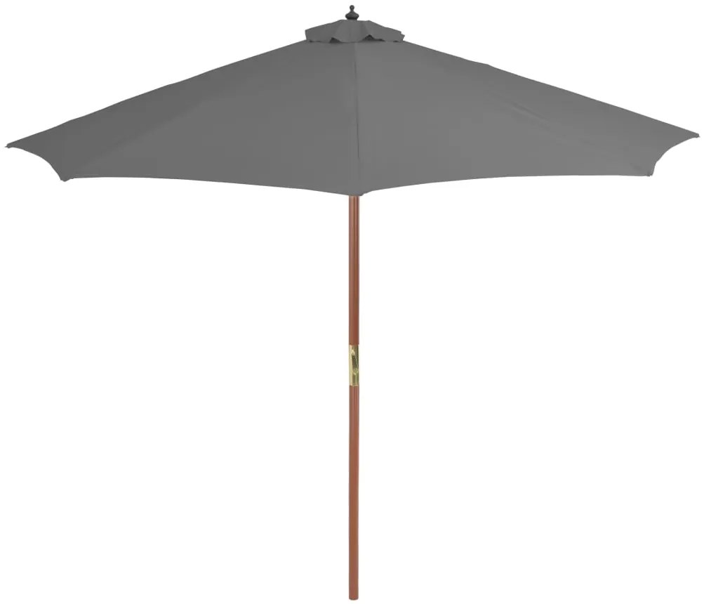 Guarda-sol de exterior com mastro de madeira 300 cm antracite