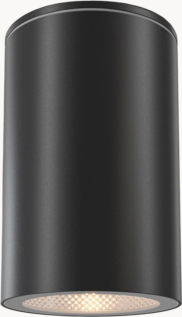 Candeeiro de teto para exterior Roll