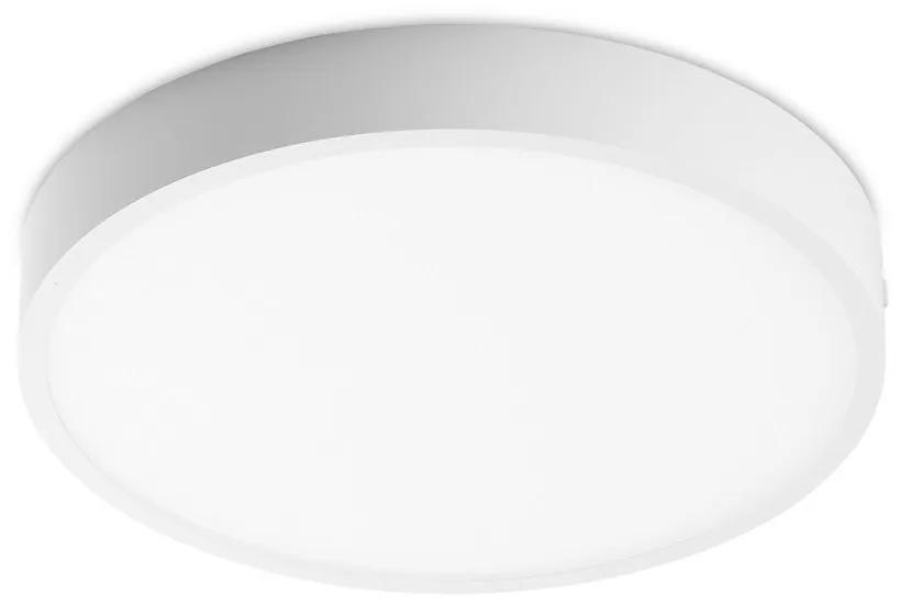 Kaju Surface Mounted LED Downlight RD 30W White