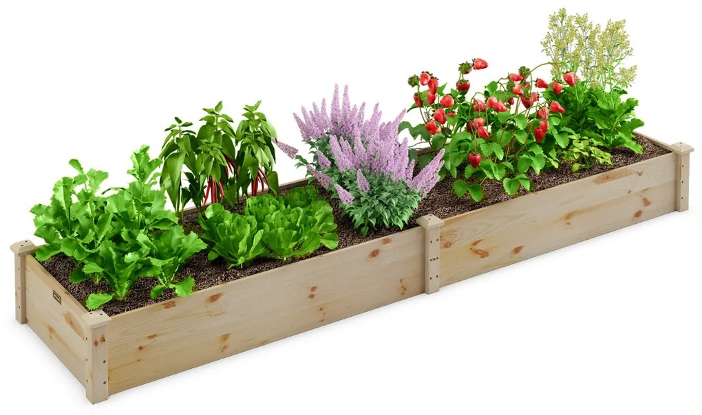 Floreira Caixa elevada de madeira para plantas, canteiro para legumes, flores, ervas, frutas, vaso elevado para jardim, 240x60x25 cm