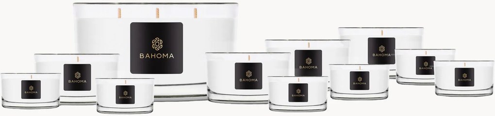 Velas perfumadas artesanais Everlasting (névoa de rosas), conjunto de 11