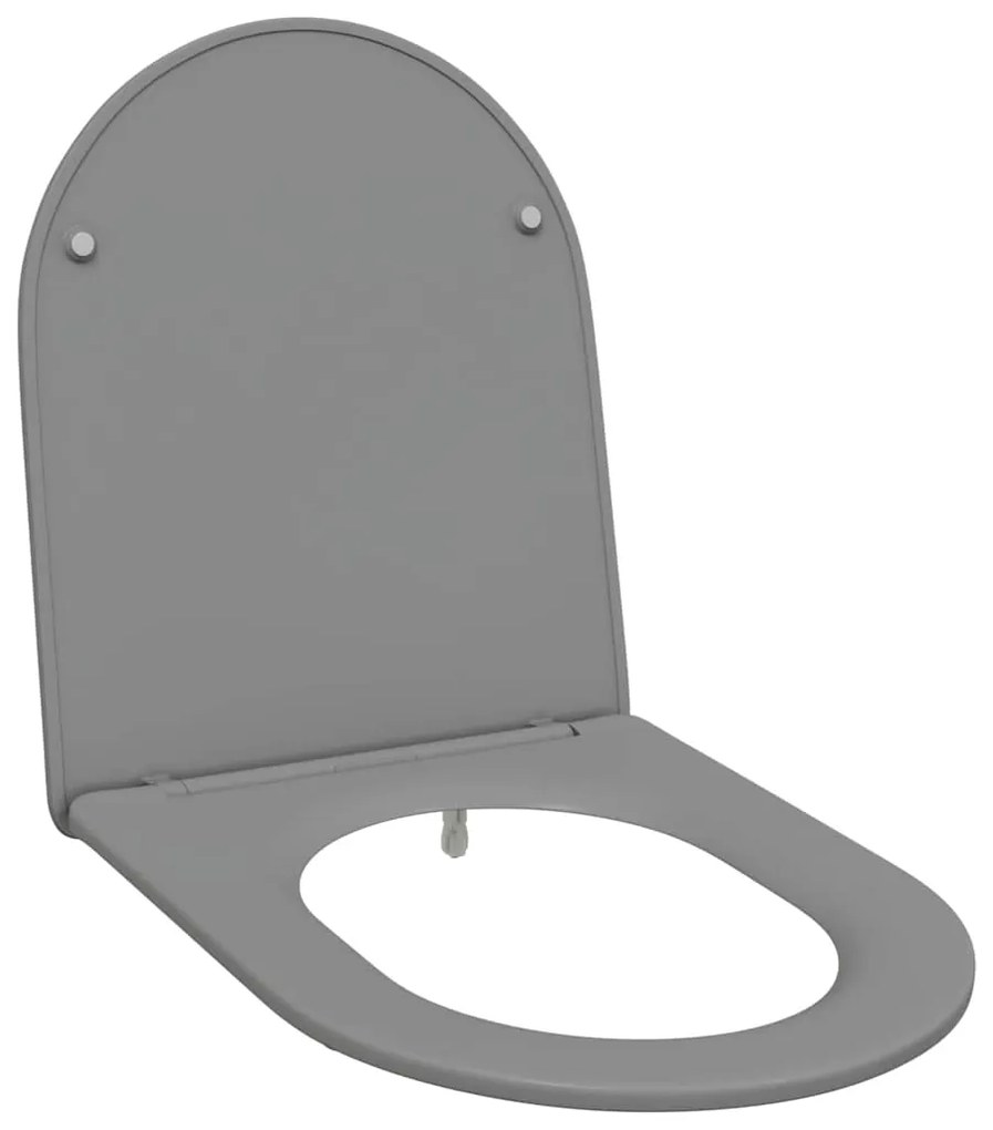 Assento de Casa de Banho com Fecho Suave Duroplast Cinzento vidaXL