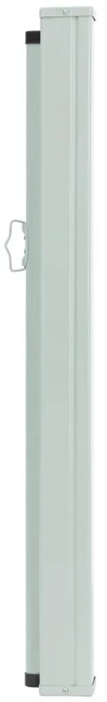 Toldo lateral retrátil para pátio 170x300 cm castanho