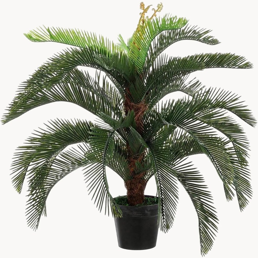 Planta artificial para exterior Palma Cycas, Alt 100 cm