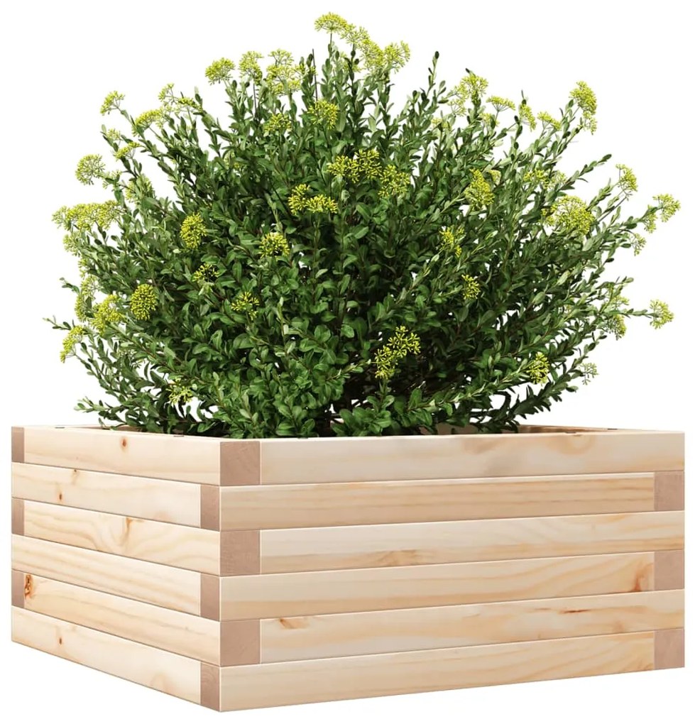 Vaso/floreira de jardim 50x50x23 cm madeira de pinho maciça